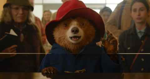 Paddington i Peru, Paddington 3