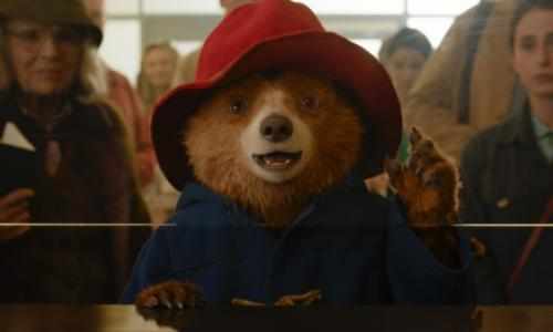 Paddington i Peru, Paddington 3